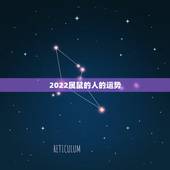 2022属鼠的人的运势，属鼠2022年运势及运程
