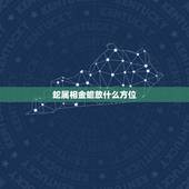 蛇属相金蟾放什么方位，属相蛇跟什么属相相配