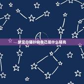 梦见白猫扑向自己是什么预兆，梦到猫攻击自己是什么意思