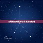自己的生肖属相摆在家里吉利吗，属蛇的的人家里放什么属相聚财