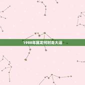 1988年属龙何时走大运，1988年属龙的人，大运之年是哪一年？