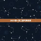 2021独一无二霸气网名男，2021最火的网名男生