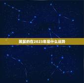 属鼠的在2023年是什么运势，2023年老鼠的运势