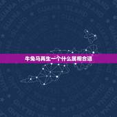 牛兔马再生一个什么属相合适，属马和属兔合不合