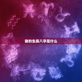 猪的生辰八字是什么，1995年属猪是什么命