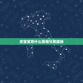 虎宝宝忌什么属相兄弟姐妹，2013的蛇跟2022年的虎做兄妹