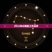 2022年水瓶座工作运势，2021年春节后水瓶座事业运势起伏如何