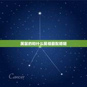 属鼠的和什么属相最配婚姻，属鼠的和什么属相最配？