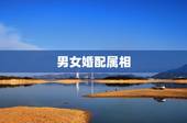 男女婚配属相，十二生肖男女婚配表