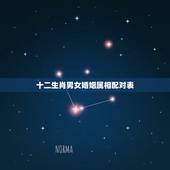 十二生肖男女婚姻属相配对表，属相婚配男女生肖前后有什么区别