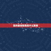 鼠的最佳配偶是什么属相，十二生肖配对算命，输血血型配对，鼠的最佳配对属
