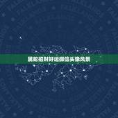 属蛇招财好运微信头像风景，属蛇人微信头像好运图