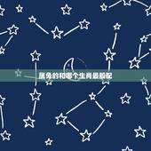 属兔的和哪个生肖最般配，生肖兔2022 年运势大全