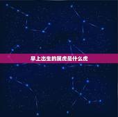 早上出生的属虎是什么虎，属虎的早上出生好吗？
