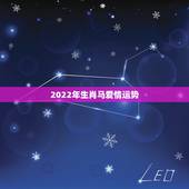 2022年生肖马爱情运势，2021年属马男人的全年运势