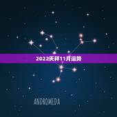 2022天秤11月运势，天秤座2014年11月运势科技紫薇星座