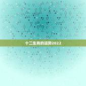 十二生肖的运势2022，2022年运势最好的生肖