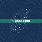 1982年狗的最佳属相，1982属狗的男性，他的最佳配偶的生肖是什么？