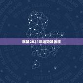属鼠2021年运势及运程，2021年属鼠下半年要出大事？