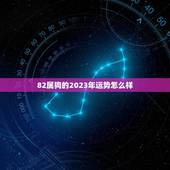82属狗的2023年运势怎么样(狗年大展宏图财运亨通)