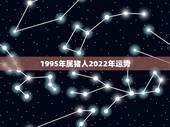 1995年属猪人2022年运势 1995年出生属猪人2022年财富运势