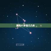 属马31岁是几几年，生肖马年份对照表年龄