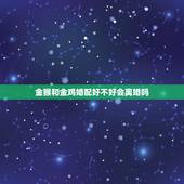 金猴和金鸡婚配好不好会离婚吗，92年属猴的和93年属鸡的配吗