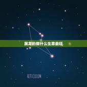 属龙的做什么生意最旺，属龙的新开店面买什么招财