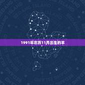 1991年农历11月出生的羊，农历11月出生的羊女孩