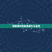 和鼠相冲的生肖是什么生肖，生肖羊和鼠相冲吗