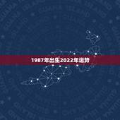 1987年出生2022年运势，87年兔35岁2022年的财运