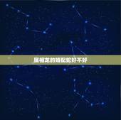 属相龙的婚配蛇好不好，女属龙男属蛇结为夫妻会怎么样
