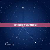 1996年是火鼠还是水鼠，适合属鼠发展的大城市