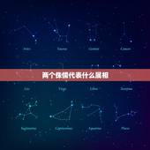 两个侏儒代表什么属相，12生肖代表什么？