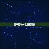 鼠不能与什么属相婚配，鼠跟什么属相不合