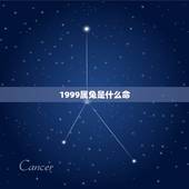 1999属兔是什么命，1999属兔的五行属什么