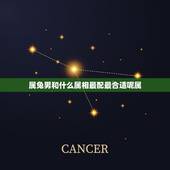 属兔男和什么属相最配最合适呢属，男兔和什么属相最配