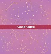 八字测有几段婚姻，八字测会有几段婚姻，几个孩子谢谢