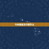 今年属鼠五行属什么，今年鼠是什么命
