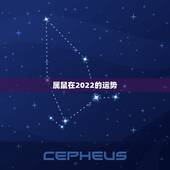 属鼠在2022的运势，1984年属鼠女2022年运势每月运势