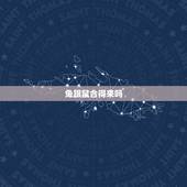 兔跟鼠合得来吗，龙跟龙合得来吗