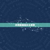 冲煞属相是什么意思，时辰属相冲、煞是指什么意思