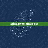 61年属牛的2022年运势如何，12生肖运势2022 年运势详解势详解