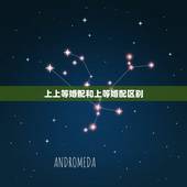 上上等婚配和上等婚配区别，上中下三等婚配原理是什么 怎样的婚配最幸福