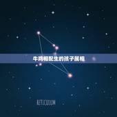 牛鸡相配生的孩子属相，属牛和属鸡生哪个属相好