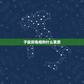 子鼠卯兔相刑什么意思，子鼠又与卯兔相刑什么意思？