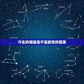 今生的相逢是不是前世的因果，今生贪恋养花草植物，是何因缘？三世因果有说