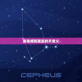 属兔婚配属鼠的天音义，属兔和属鼠相配吗