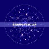 属鼠的属相婚配表大全集，属鼠的属相婚配表 属鼠和什么生肖最配