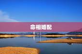 命相婚配，属相五行婚配